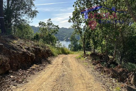 Landejendom i Serta, Castelo Branco, Serta - € 79.000 | Ref: VV332/0624 - foto 7
