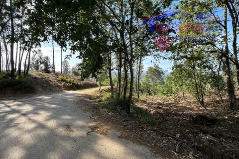 Landejendom i Serta, Castelo Branco, Serta - € 79.000 | Ref: VV332/0624 - foto 9