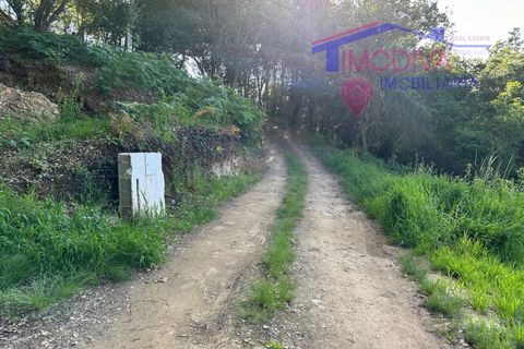 Landejendom i Serta, Castelo Branco, Serta - € 79.000 | Ref: VV332/0624 - foto 14