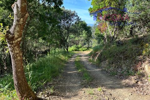 Landejendom i Serta, Castelo Branco, Serta - € 79.000 | Ref: VV332/0624 - foto 15