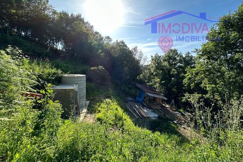 Landejendom i Serta, Castelo Branco, Serta - € 79.000 | Ref: VV332/0624 - foto 16