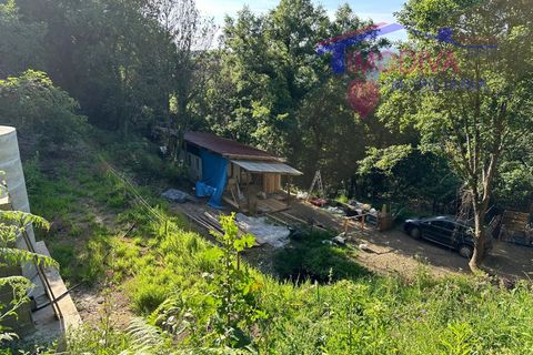 Landejendom i Serta, Castelo Branco, Serta - € 79.000 | Ref: VV332/0624 - foto 17