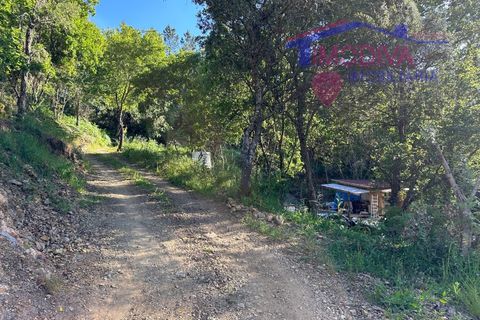 Landejendom i Serta, Castelo Branco, Serta - € 79.000 | Ref: VV332/0624 - foto 18