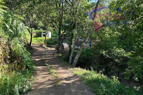 Landejendom i Serta, Castelo Branco, Serta - € 79.000 | Ref: VV332/0624 - foto 19