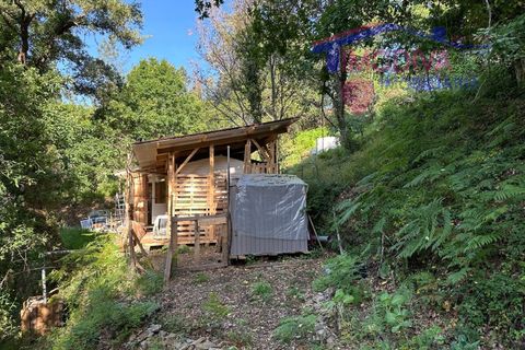 Landejendom i Serta, Castelo Branco, Serta - € 79.000 | Ref: VV332/0624 - foto 20