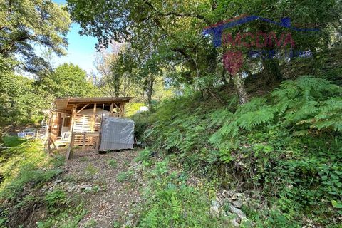 Landejendom i Serta, Castelo Branco, Serta - € 79.000 | Ref: VV332/0624 - foto 21