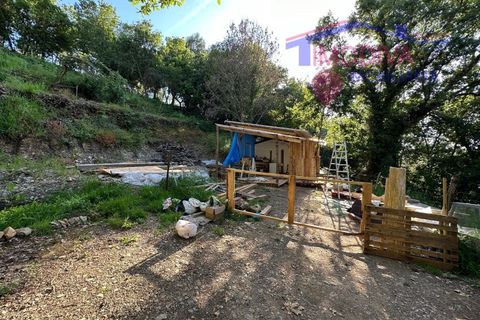 Landejendom i Serta, Castelo Branco, Serta - € 79.000 | Ref: VV332/0624 - foto 3