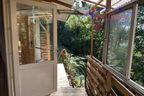 Landejendom i Serta, Castelo Branco, Serta - € 79.000 | Ref: VV332/0624 - foto 23