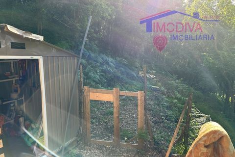 Landejendom i Serta, Castelo Branco, Serta - € 79.000 | Ref: VV332/0624 - foto 24