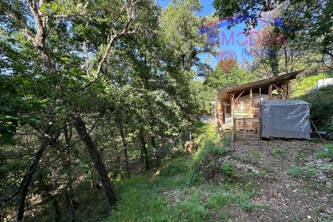 Landejendom i Serta, Castelo Branco, Serta - € 79.000 | Ref: VV332/0624 - foto 27