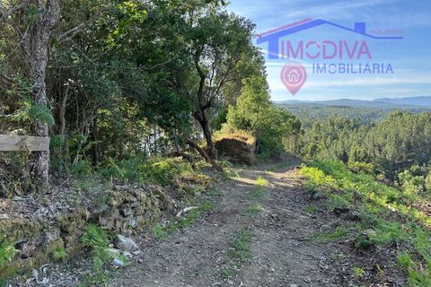 Landejendom i Serta, Castelo Branco, Serta - € 79.000 | Ref: VV332/0624 - foto 29