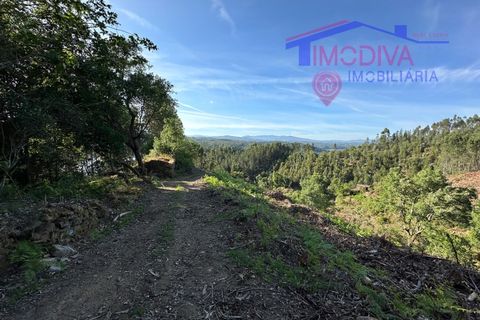 Landejendom i Serta, Castelo Branco, Serta - € 79.000 | Ref: VV332/0624 - foto 31