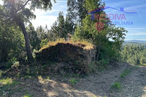 Landejendom i Serta, Castelo Branco, Serta - € 79.000 | Ref: VV332/0624 - foto 33