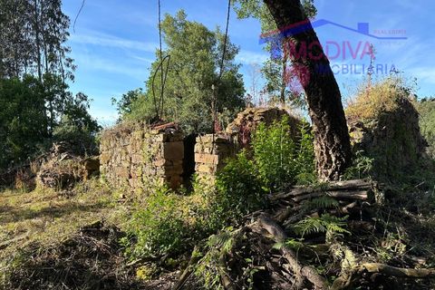 Landejendom i Serta, Castelo Branco, Serta - € 79.000 | Ref: VV332/0624 - foto 34