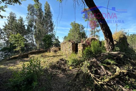 Landejendom i Serta, Castelo Branco, Serta - € 79.000 | Ref: VV332/0624 - foto 35