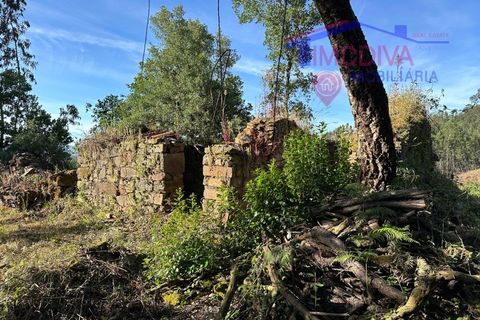 Landejendom i Serta, Castelo Branco, Serta - € 79.000 | Ref: VV332/0624 - foto 36