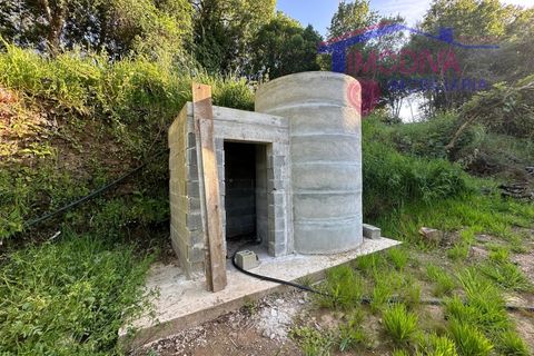 Landejendom i Serta, Castelo Branco, Serta - € 79.000 | Ref: VV332/0624 - foto 38