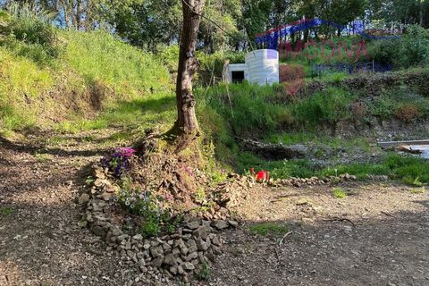 Landejendom i Serta, Castelo Branco, Serta - € 79.000 | Ref: VV332/0624 - foto 39