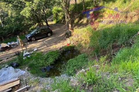 Landejendom i Serta, Castelo Branco, Serta - € 79.000 | Ref: VV332/0624 - foto 41