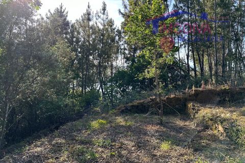 Landejendom i Serta, Castelo Branco, Serta - € 79.000 | Ref: VV332/0624 - foto 42