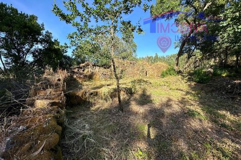 Landejendom i Serta, Castelo Branco, Serta - € 79.000 | Ref: VV332/0624 - foto 43