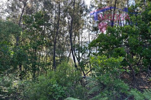 Landejendom i Serta, Castelo Branco, Serta - € 79.000 | Ref: VV332/0624 - foto 44