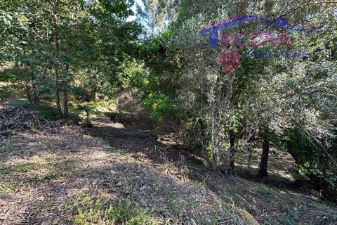 Landejendom i Serta, Castelo Branco, Serta - € 79.000 | Ref: VV332/0624 - foto 45