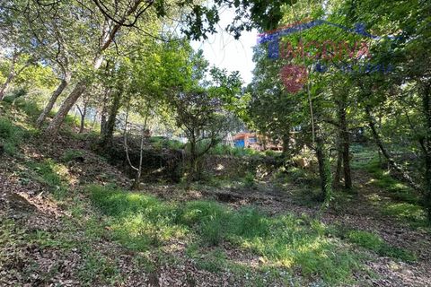Landejendom i Serta, Castelo Branco, Serta - € 79.000 | Ref: VV332/0624 - foto 46