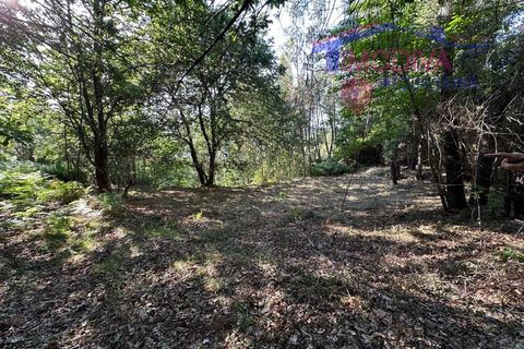 Landejendom i Serta, Castelo Branco, Serta - € 79.000 | Ref: VV332/0624 - foto 48