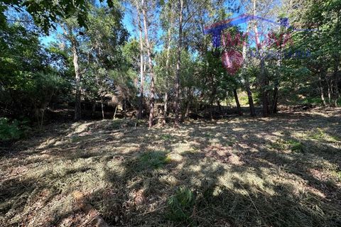 Landejendom i Serta, Castelo Branco, Serta - € 79.000 | Ref: VV332/0624 - foto 50
