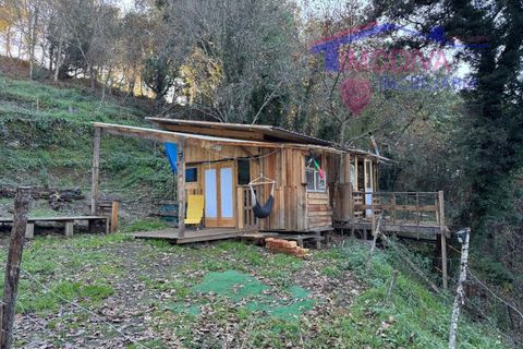 Landejendom i Serta, Castelo Branco, Serta - € 79.000 | Ref: VV332/0624 - foto 25