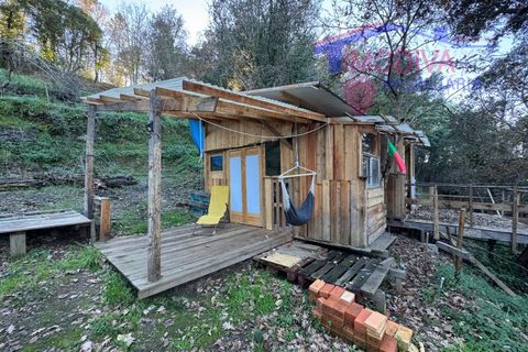 Landejendom i Serta, Castelo Branco, Serta - € 79.000 | Ref: VV332/0624 - foto 26