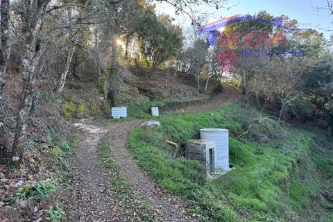 Landejendom i Serta, Castelo Branco, Serta - € 79.000 | Ref: VV332/0624 - foto 37