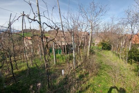 Leilighet i Zocca, Modena, Zocca - € 116 000 | Ref: 2709 - foto 46