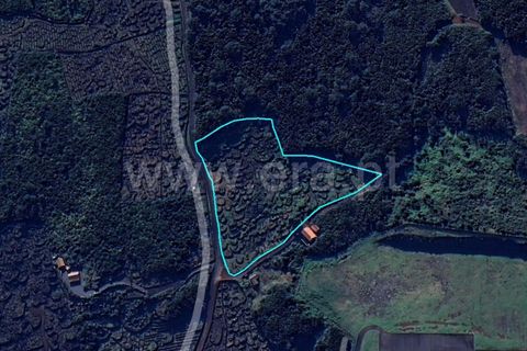 Helårsgrund i Sao Roque do Pico, Pico, Sao Roque do Pico - € 66.600 | Ref: 374240163 - foto 3