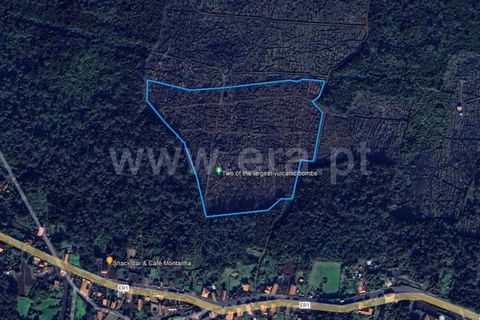 Helårsgrund i Sao Roque do Pico, Pico, Sao Roque do Pico - € 165.000 | Ref: 374240167 - foto 5