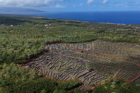 Helårsgrund i Sao Roque do Pico, Pico, Sao Roque do Pico - € 165.000 | Ref: 374240167 - foto 1