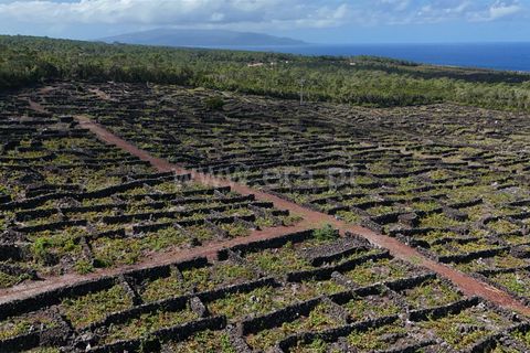 Helårsgrund i Sao Roque do Pico, Pico, Sao Roque do Pico - € 165.000 | Ref: 374240167 - foto 2