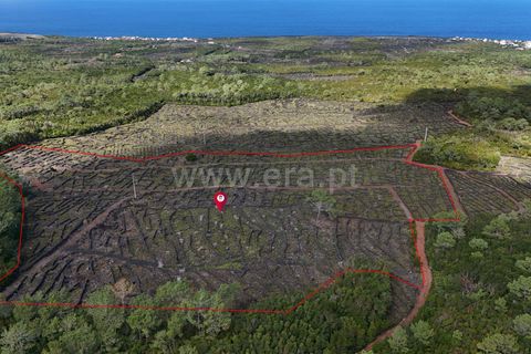 Helårsgrund i Sao Roque do Pico, Pico, Sao Roque do Pico - € 165.000 | Ref: 374240167 - foto 3