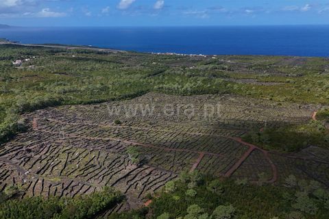 Helårsgrund i Sao Roque do Pico, Pico, Sao Roque do Pico - € 165.000 | Ref: 374240167 - foto 4