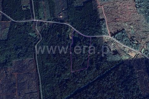 Helårsgrund i Sao Roque do Pico, Pico, Sao Roque do Pico - € 185.000 | Ref: 374240170 - foto 3