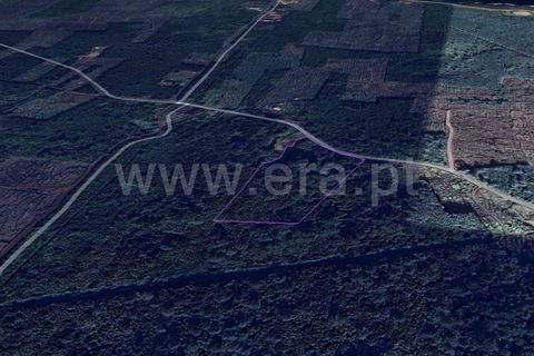 Helårsgrund i Sao Roque do Pico, Pico, Sao Roque do Pico - € 185.000 | Ref: 374240170 - foto 4