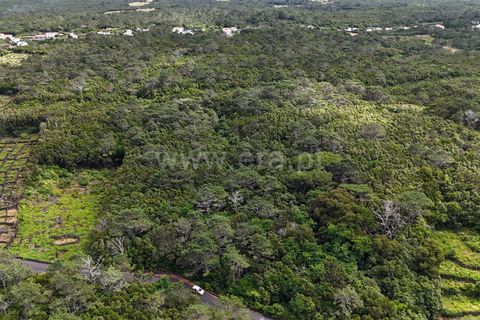 Helårsgrund i Sao Roque do Pico, Pico, Sao Roque do Pico - € 185.000 | Ref: 374240170 - foto 2