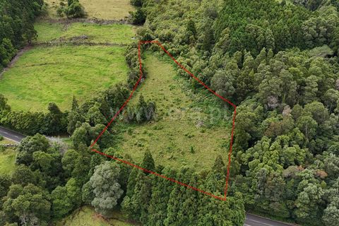 Helårsgrund i Sao Roque do Pico, Pico, Sao Roque do Pico - € 18.000 | Ref: 374240174 - foto 2