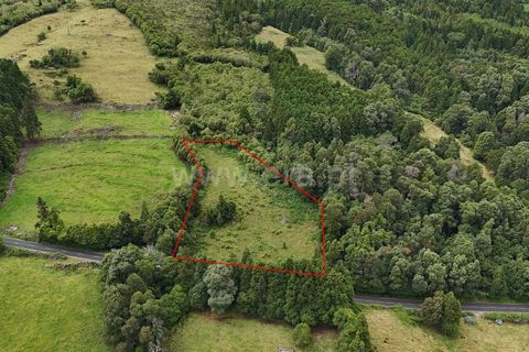 Helårsgrund i Sao Roque do Pico, Pico, Sao Roque do Pico - € 18.000 | Ref: 374240174 - foto 3
