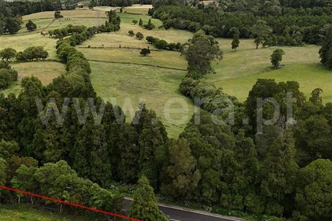Helårsgrund i Sao Roque do Pico, Pico, Sao Roque do Pico - € 18.000 | Ref: 374240174 - foto 4