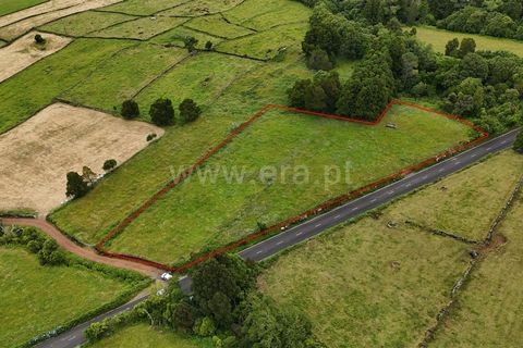Helårsgrund i Sao Roque do Pico, Pico, Sao Roque do Pico - € 34.000 | Ref: 374240176 - foto 4