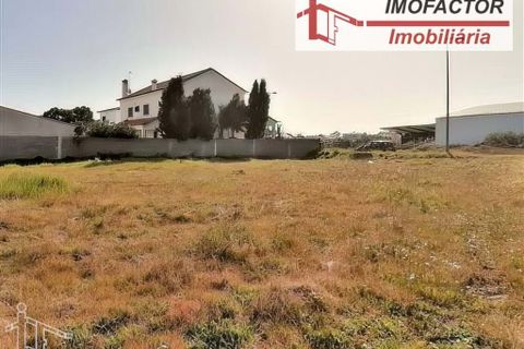 Helårsgrund i Alcains, Castelo Branco, Alcains - € 44.900 | Ref: 21-11728 - foto 3