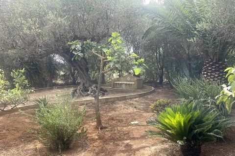 Villa i Castelvetrano, Trapani, Castelvetrano - € 950.000 | Ref: Villa Paradiso - Selinunte - foto 44