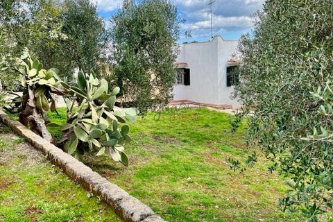 Landejendom i Ostuni, Brindisi, Ostuni - € 275.000 | Ref: 292 - foto 26